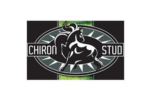 Chiron Stud