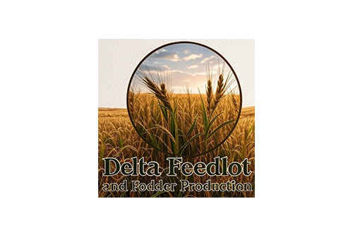 Delta Farms