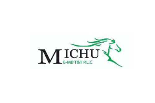 Michu E-Mid-Bus Transport and Trade PLC