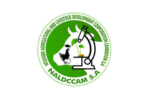 Naldccam